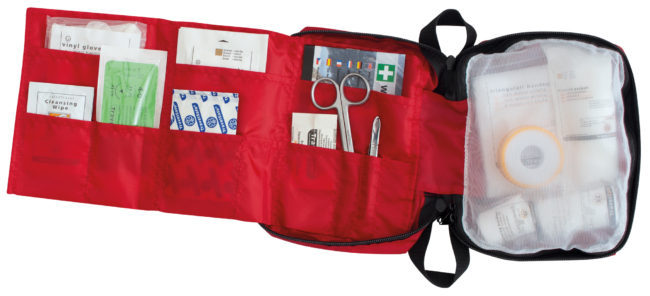 https://travelsafe.nl/wp/wp-content/uploads/2019/06/TS58-First-Aid-Bag-open-filled-19-3-650x296.jpg